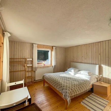 Haus Ritz-pitz 公寓 耶岑斯