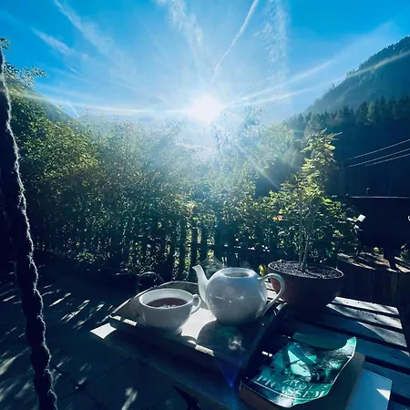 Haus Ritz-pitz *